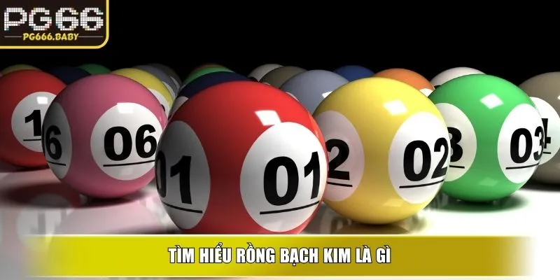 Tìm hiểu rồng bạch kim là gì