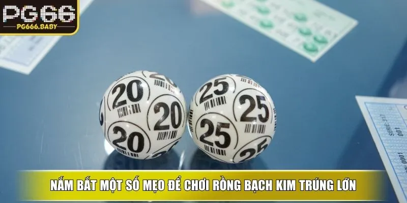 Nắm bắt một số mẹo để chơi rồng bạch kim trúng lớn