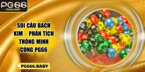 Soi Cầu Bạch Kim