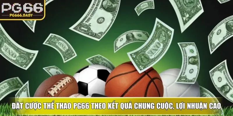 Đặt cược thể thao ku theo kết quả chung cuộc, lợi nhuận cao